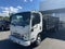 2024 Chevrolet Low Cab Forward 3500 2WD Reg Cab 176